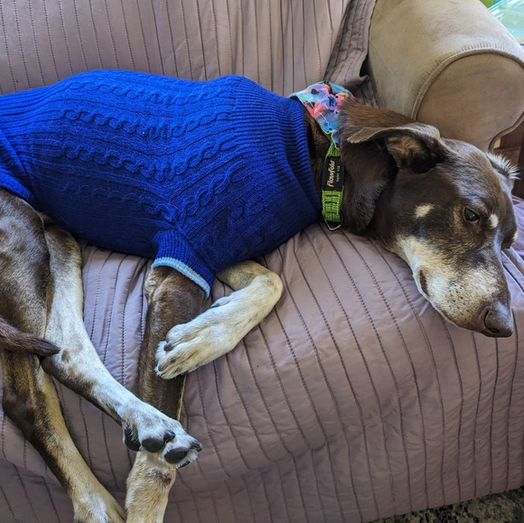 Assorted Items - Picture 5 of 6